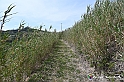 VBS_3272 - Mango (Cuneo) - Gnomovia
